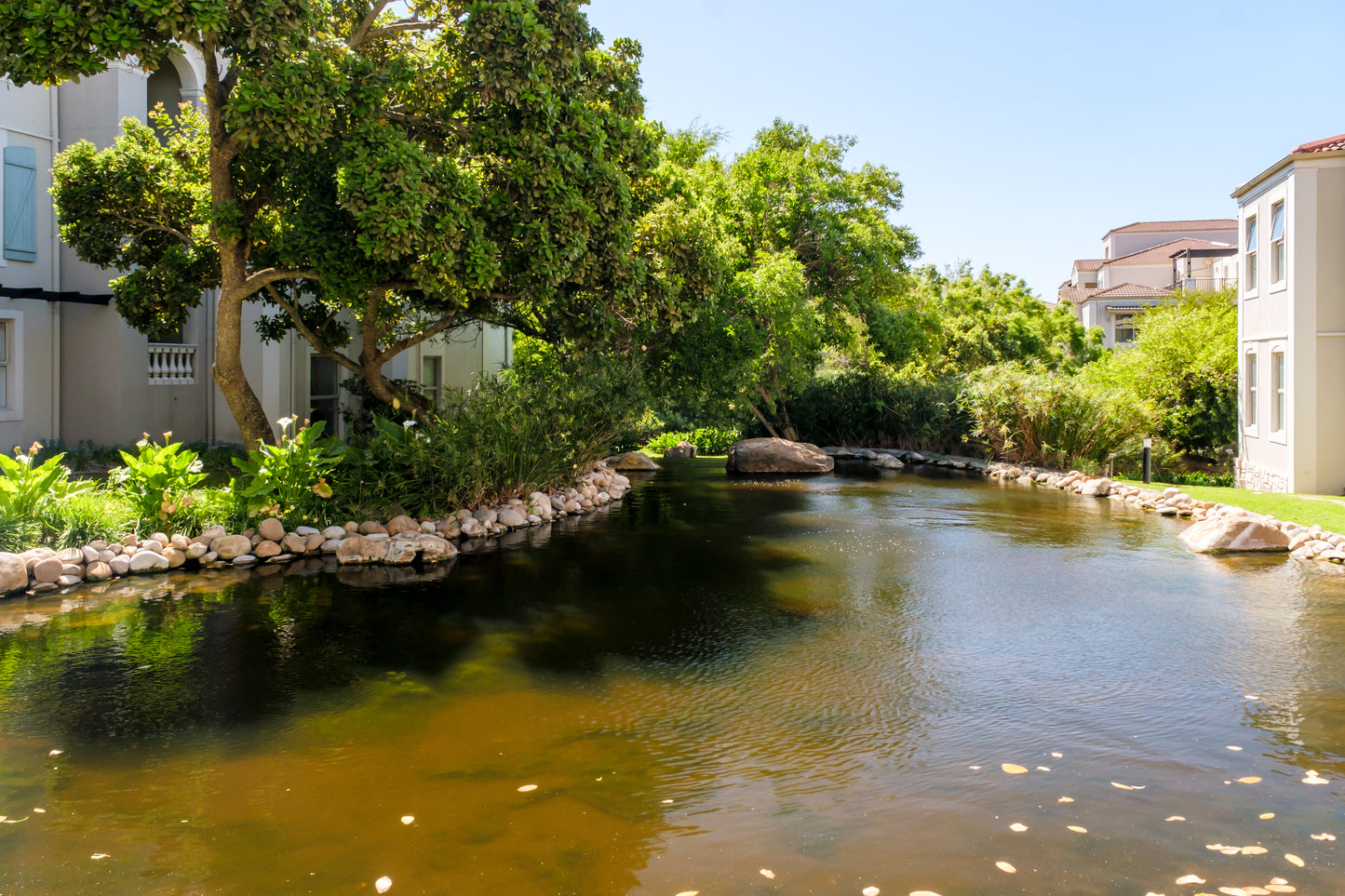 Bougain Villas Estate View