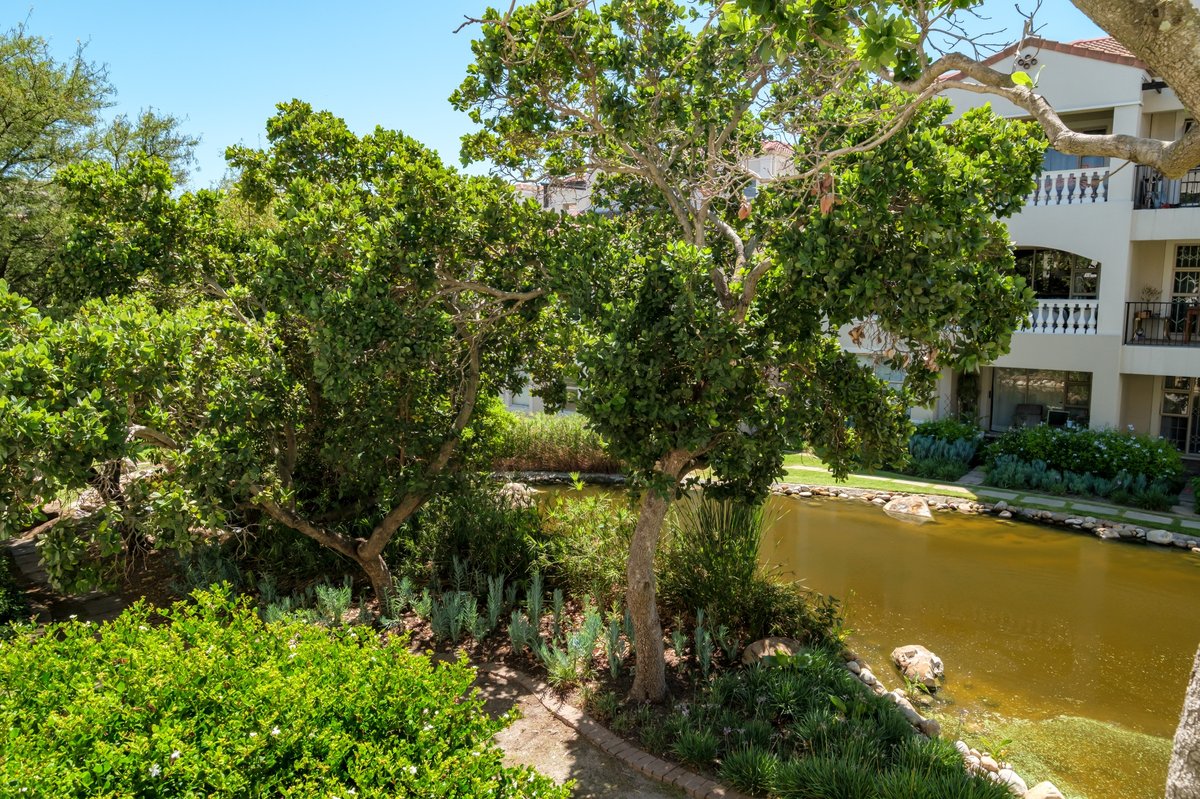 Bougain Villas Estate View